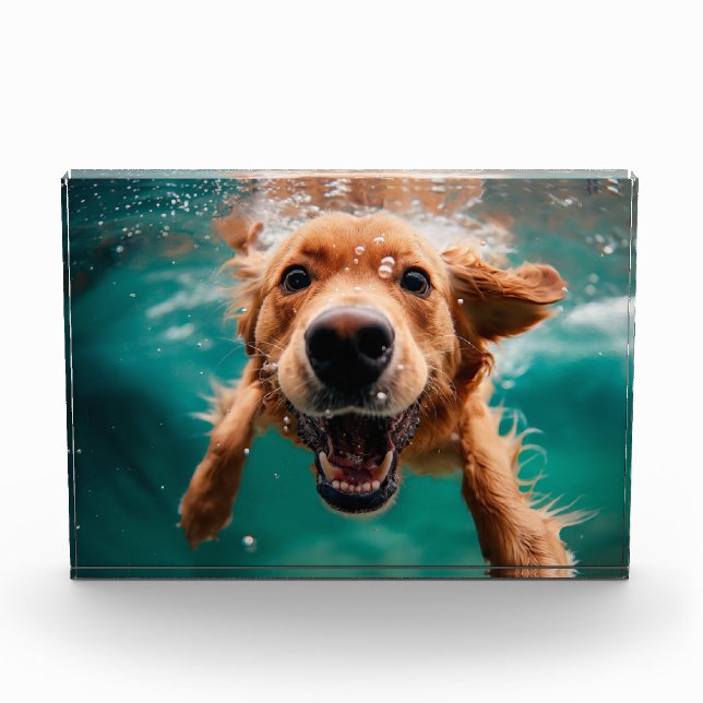 Bloque Para Fotos Feliz Golden Retriever Nadando bajo el agua (Anverso)