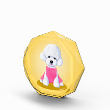 Feliz pequeño cachorro