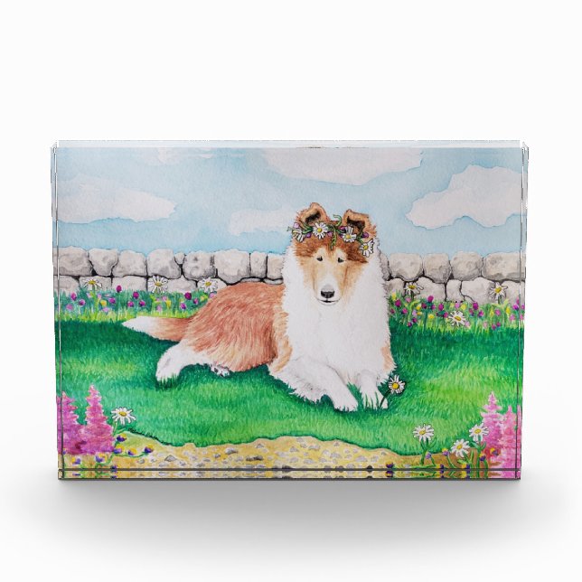 Bloque Para Fotos Fiesta de jardín (Anverso)