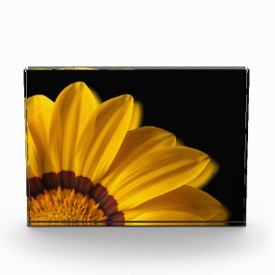 Bloque Para Fotos Flor amarilla sobre fondo negro