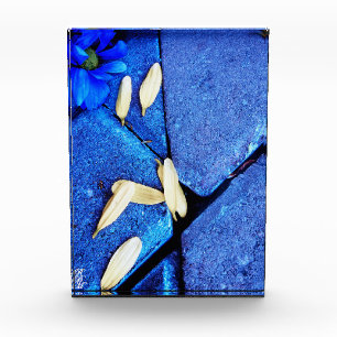 Bloque Para Fotos Flor Azul y Pétalos Amarillos
