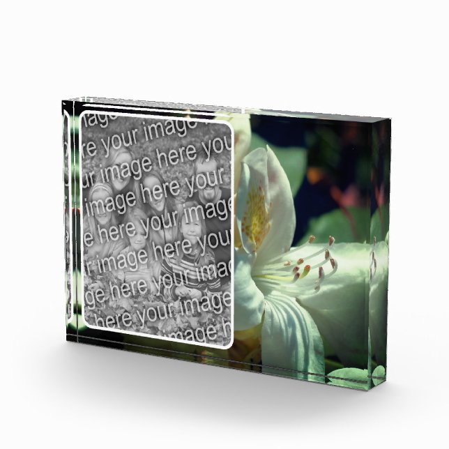 Bloque Para Fotos Flor de Azalea Blanca Crea Tu Propia (Derecha)