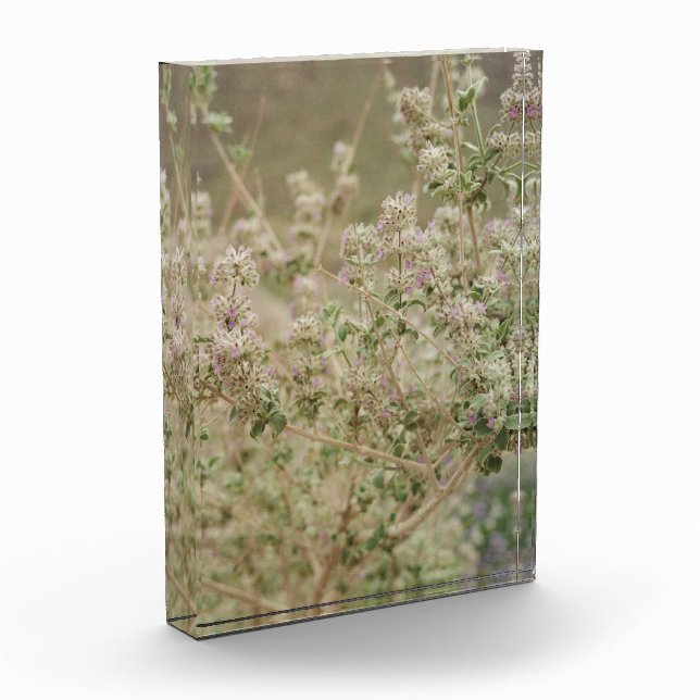 Bloque Para Fotos Flor de fantasma (Izquierda)