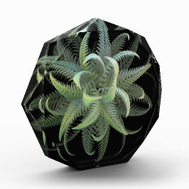 Bloque Para Fotos Flor de helecho fractal