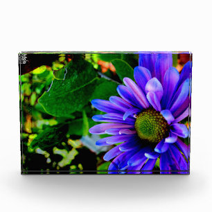 Bloque Para Fotos Flor Púrpura Brillante