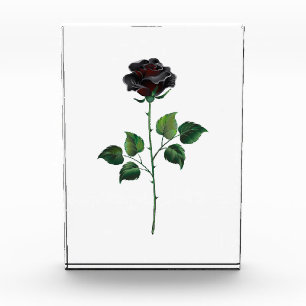 Bloque Para Fotos Flor rosa negra