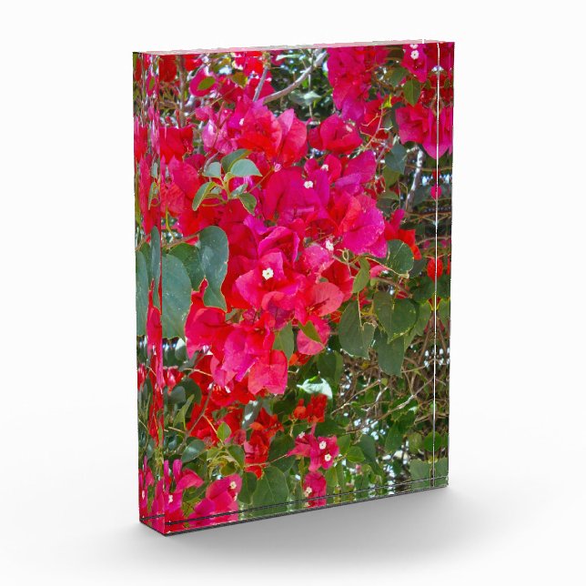 Bloque Para Fotos Flores Carmesí: Danza de las Buganvillas Rojas (Izquierda)