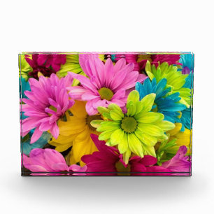 BLOQUE PARA FOTOS FLORES COLORIDOS BRILLANTES