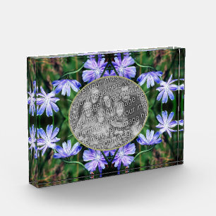 Bloque Para Fotos Flores de achicoria salvajes azules añaden