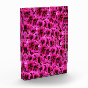 Bloque Para Fotos Flores de geranio magenta caliente,