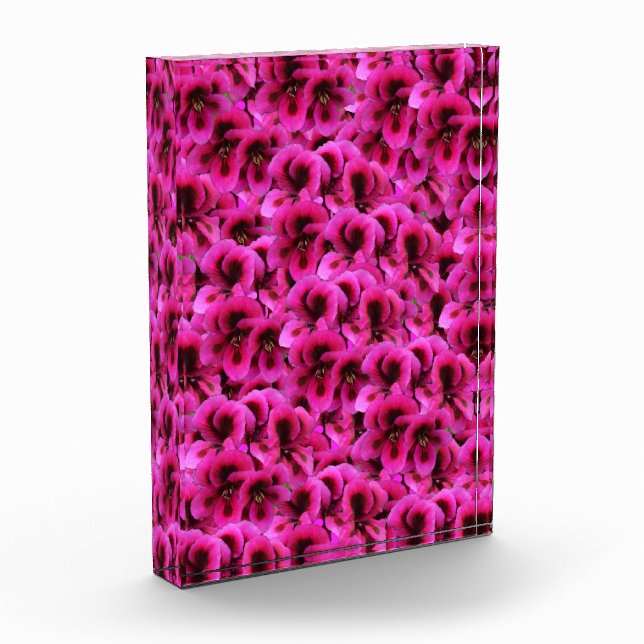Bloque Para Fotos Flores de geranio magenta caliente, (Izquierda)