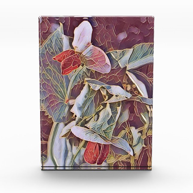 BLOQUE PARA FOTOS FLORES DE PEA DULCE (Anverso)