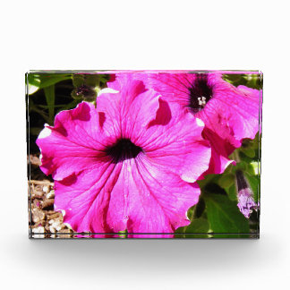 Bloque Para Fotos Flores superiores a 2,0