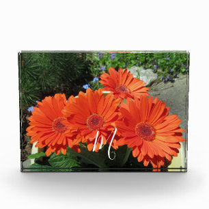 Bloque Para Fotos Fotografía floral Naranja monograma