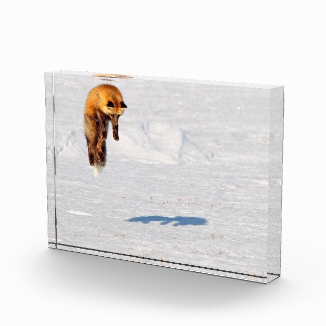 Bloque Para Fotos Fox Leap | Yukón (Canadá) (Derecha)