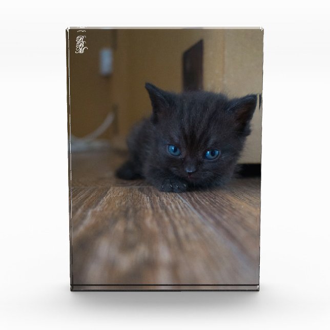 Bloque Para Fotos Gatito negro (Anverso)