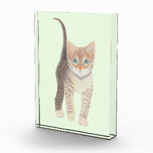 Bloque Para Fotos Gato atigrado