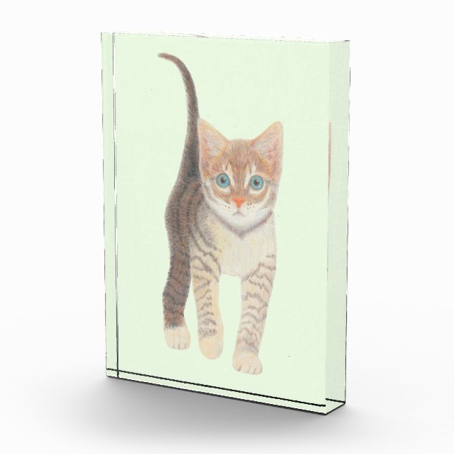 Bloque Para Fotos Gato atigrado (Derecha)