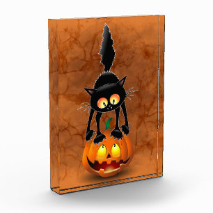 Bloque Para Fotos Gato Personalizado asustado de Halloween en calaba