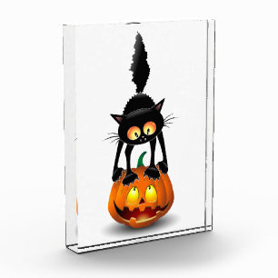 Bloque Para Fotos Gato Personalizado asustado de Halloween en calaba