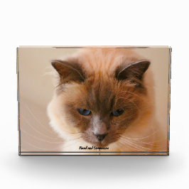 Bloque Para Fotos Gato sagrado