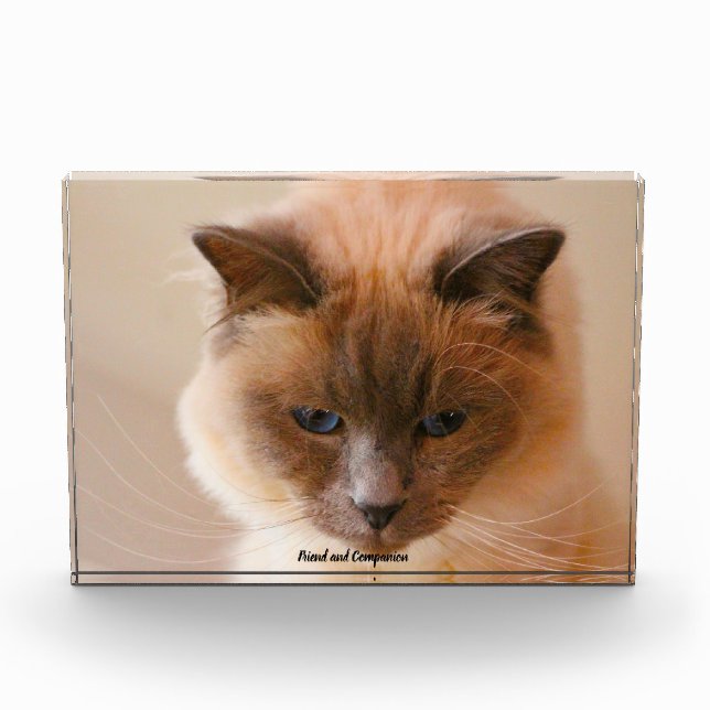 Bloque Para Fotos Gato sagrado (Anverso)