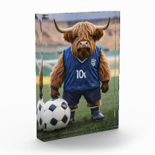 Bloque Para Fotos "Getter de gol: Vaca de Highland vestida para el f