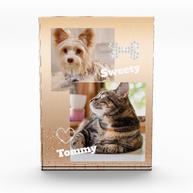 Bloque Para Fotos Glitering Mascota Gold (Anverso)