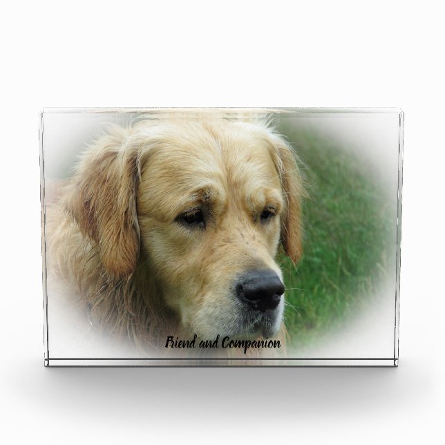 Bloque Para Fotos Golden Retriever. (Anverso)