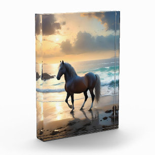 Bloque Para Fotos Gracia dorada: Un caballo palomino en la orilla de