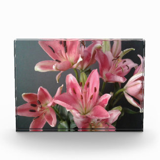 Bloque Para Fotos Gracia radiante: Lilios rosados en flor