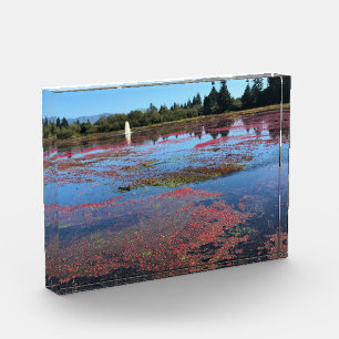 Bloque Para Fotos Granja de Cranberry, Long Beach, Washington