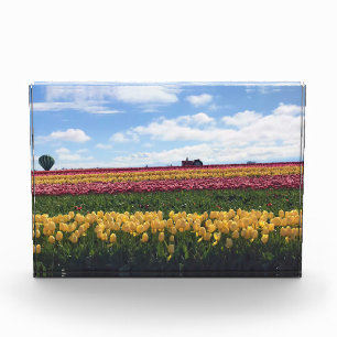 Bloque Para Fotos Granja de tulipanes de zapatos de madera, Woodburn