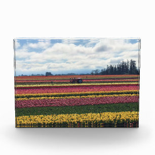 Bloque Para Fotos Granja de tulipanes de zapatos de madera, Woodburn