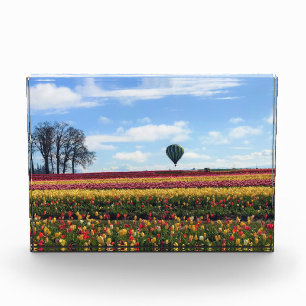 Bloque Para Fotos Granja de tulipanes de zapatos de madera, Woodburn