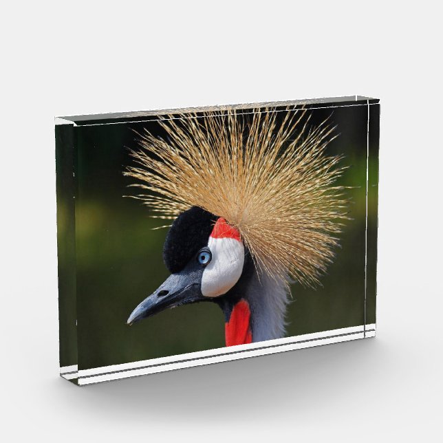 Bloque Para Fotos Grúa coronada de negro (Izquierda)