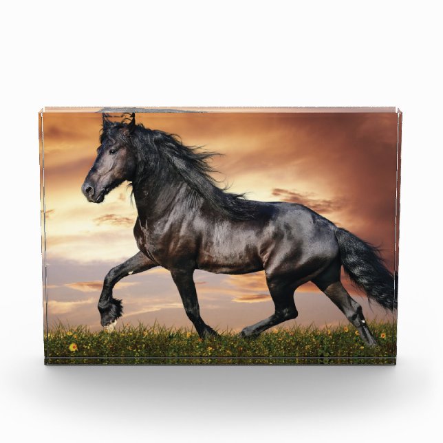 Bloque Para Fotos Hermoso caballo negro (Anverso)