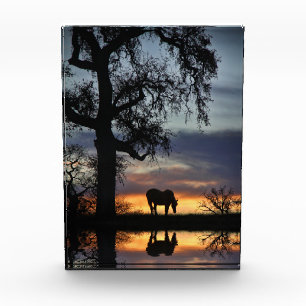 Bloque Para Fotos Hermoso caballo y estanque al atardecer