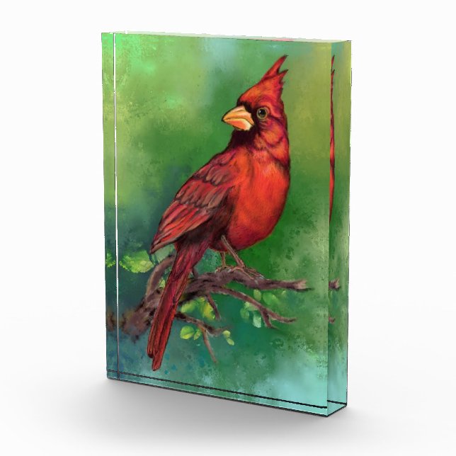 Bloque Para Fotos Hermoso cardenal rojo del norte pintando arte  (Derecha)