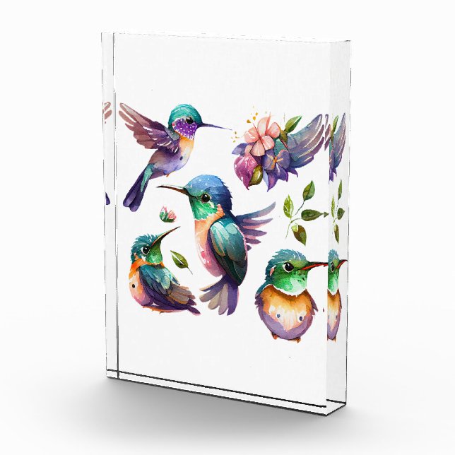 Bloque Para Fotos Hermosos y bonitos colibríes para los amantes de l (Derecha)