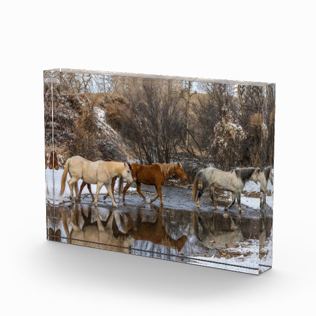 Bloque Para Fotos Hideout Horse Ranch (Derecha)