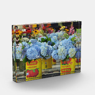Bloque Para Fotos Hidrangeas y flores frescas en vainas de tomate
