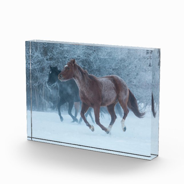 Bloque Para Fotos Hípica (Derecha)