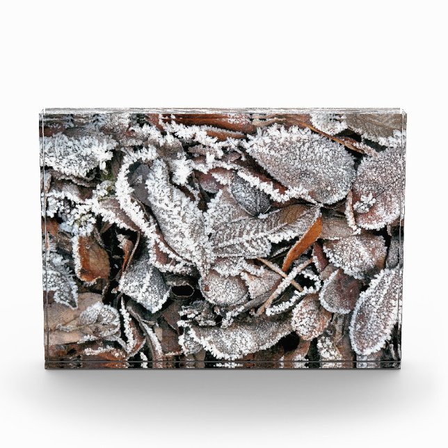 BLOQUE PARA FOTOS HOJAS DE INVIERNO (Anverso)