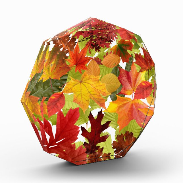 Bloque Para Fotos Hojas otoñales (Izquierda)