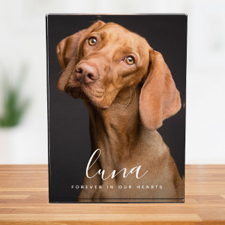 Bloque Para Fotos Homenaje a la simpatía por la memoria de mascota