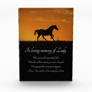Bloque Para Fotos Homenaje espiritual en memoria de caballos