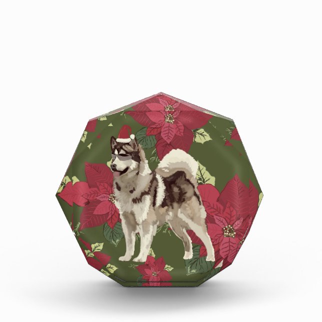Bloque Para Fotos Husky, Flores de Poinsettia (Anverso)