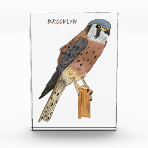 Bloque Para Fotos Ilustracion americano de aves de Kestrel