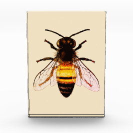 Bloque Para Fotos Ilustracion de arte de la miel de abeja realista